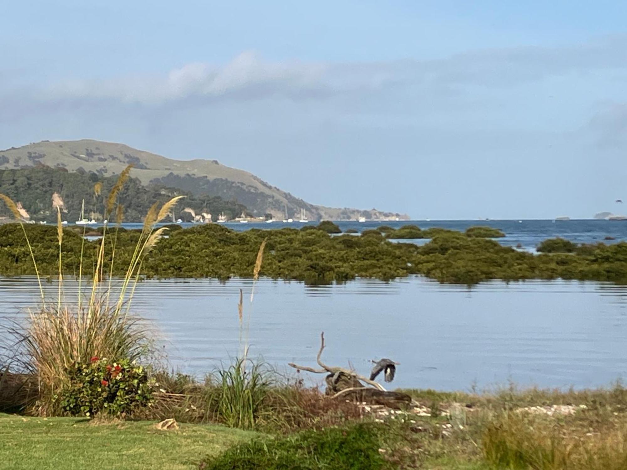 Oystercatcher Bay Boathouse