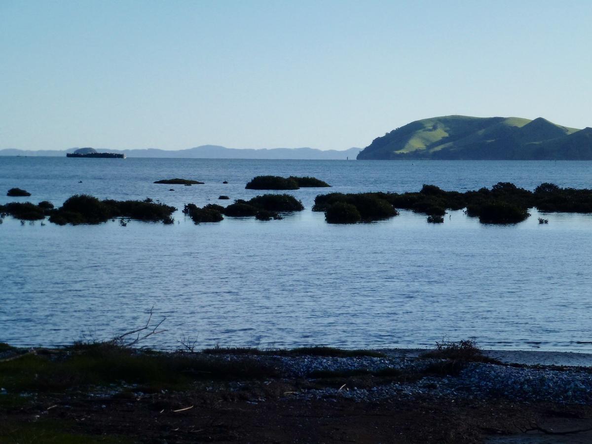 Oystercatcher Bay Boathouse Chalet