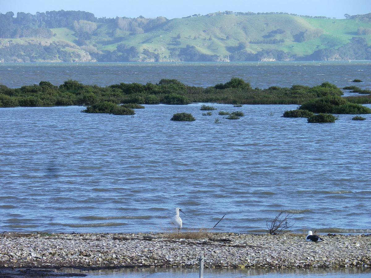 Oystercatcher Bay Boathouse Chalet